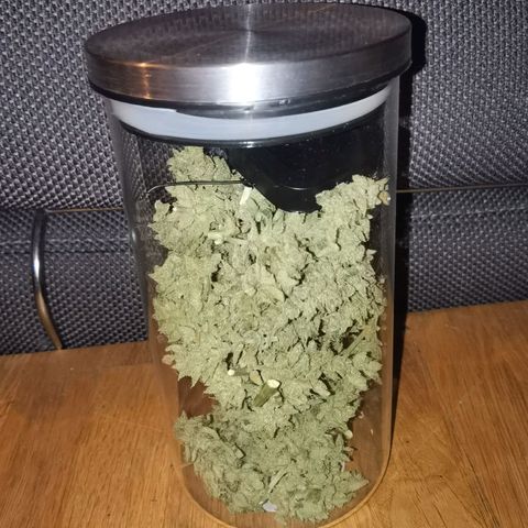 Royal Auto jack/runtz 11l growlog timeline photo