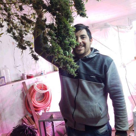 Segunda cosecha growlog photo: Lagherta