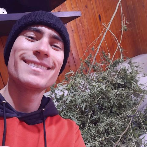 Segunda cosecha growlog photo: Lagherta