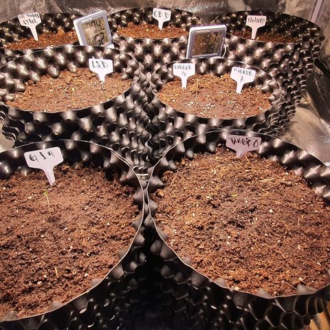 G14 - 1 growlog timeline photo