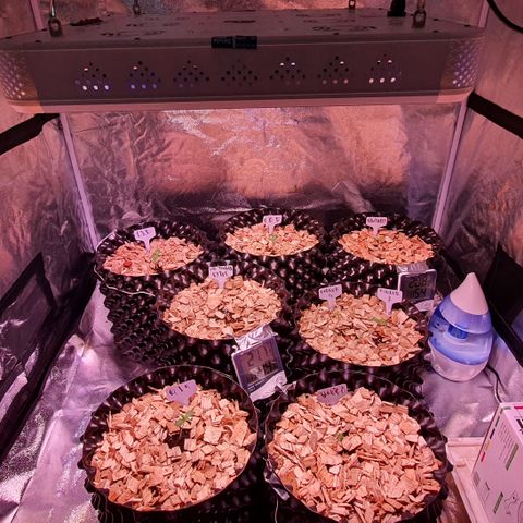 G14 - 1 growlog timeline photo