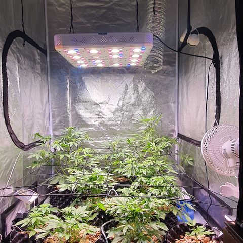 G14 - 1 growlog timeline photo