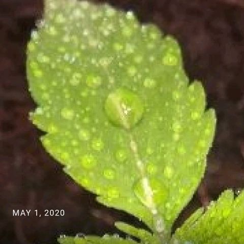 Bill growlog timeline photo
