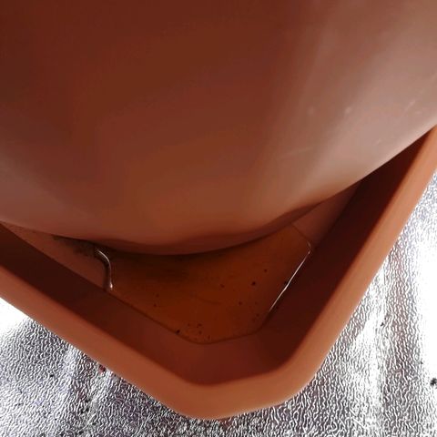 Bill growlog timeline photo