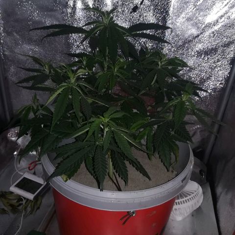 Bill growlog timeline photo