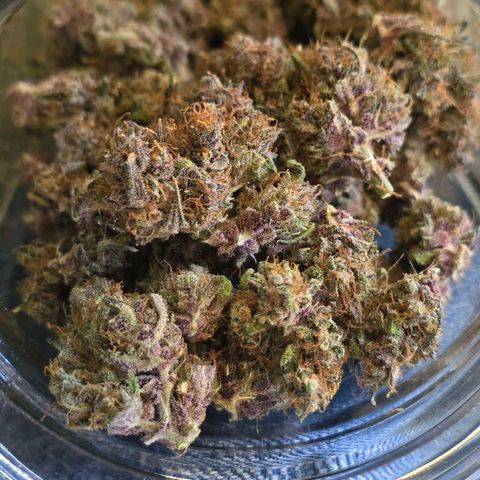 Dark Devil Auto growlog photo: Nice looking buds. 