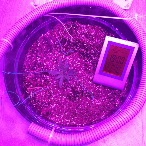 1 growlog timeline photo