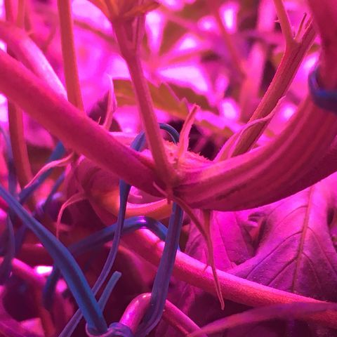 1 growlog timeline photo