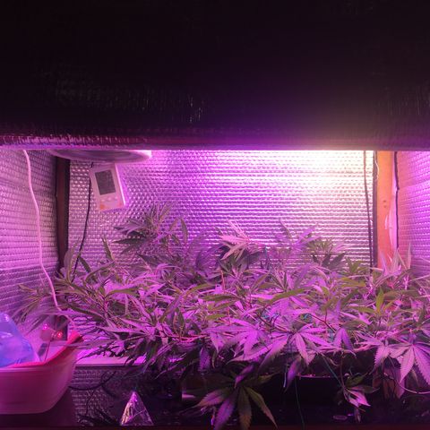 1 growlog timeline photo