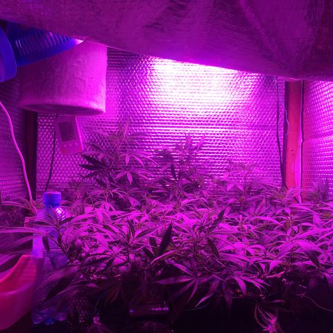 1 growlog timeline photo