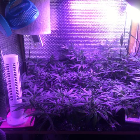 1 growlog timeline photo