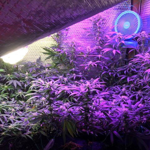 1 growlog timeline photo