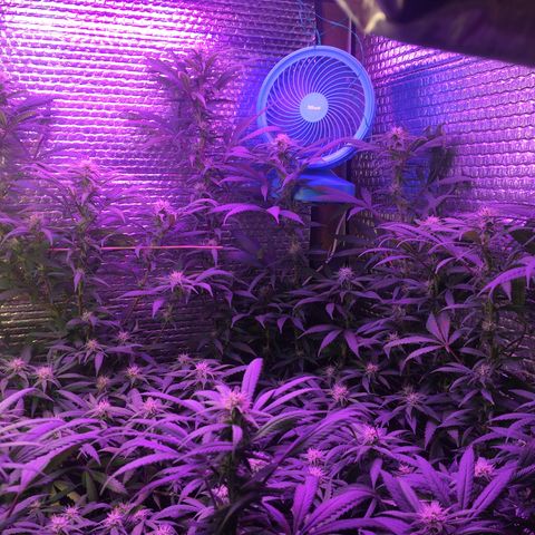 1 growlog timeline photo