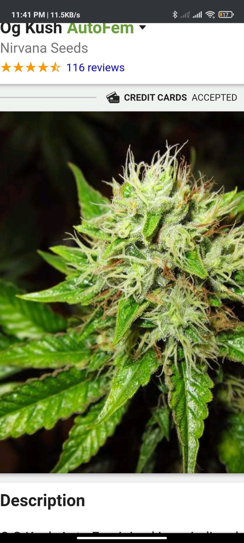 OG Kush Auto. growlog header