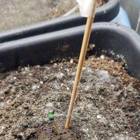 TW growlog photo: 14:30 