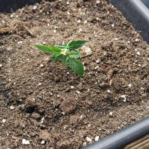 TW growlog photo: Training 