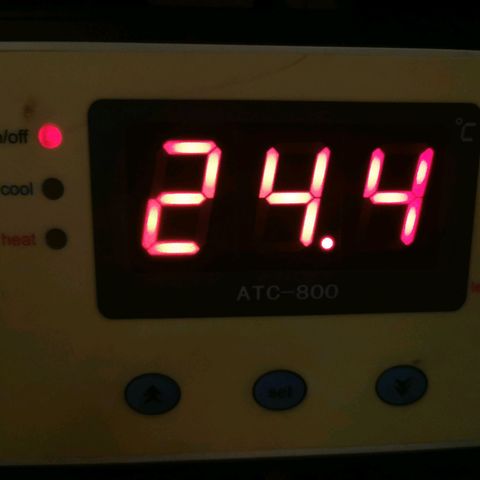 TW growlog timeline photo