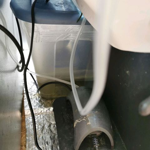 TW growlog timeline photo