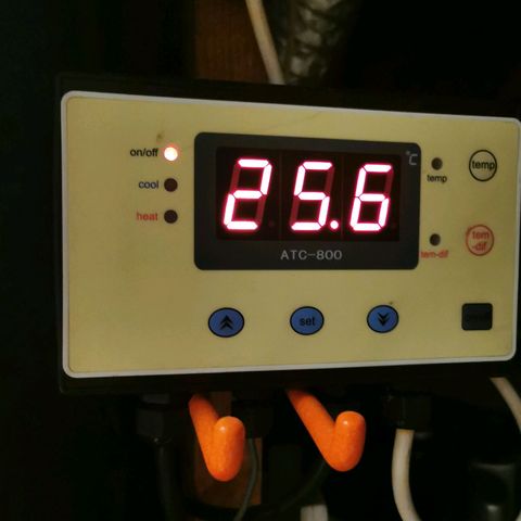 TW growlog timeline photo