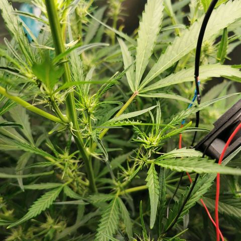 TW growlog timeline photo