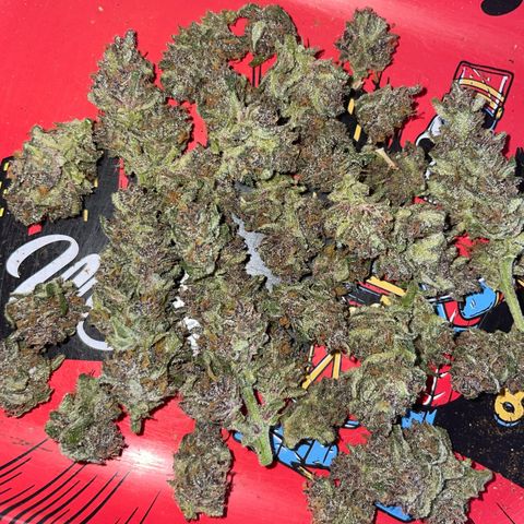 banana Purple Punch - automatic growlog timeline photo