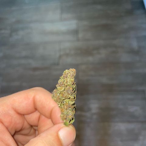 banana Purple Punch - automatic growlog timeline photo