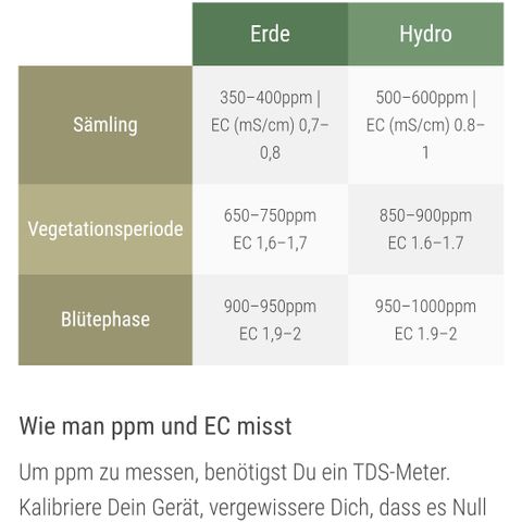 Bubba Kush growlog photo: Scrog installiert. Leichte Anzeichen von Verbrennungen an den Blattspitzen