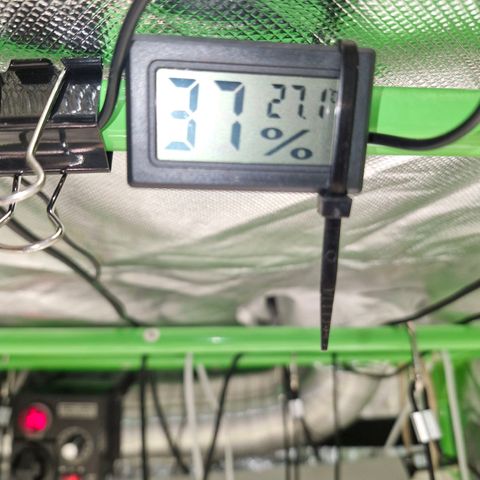 Mond growlog timeline photo