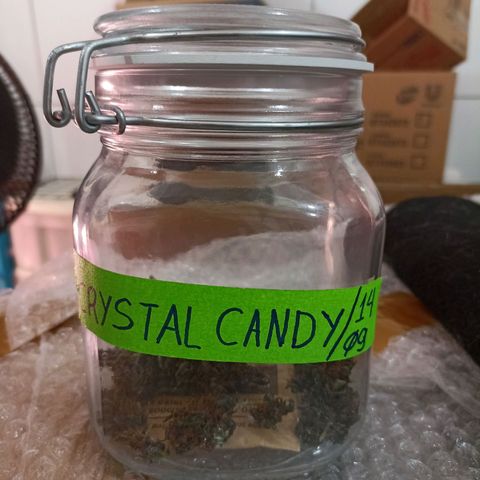 Crystal Candy 1 growlog timeline photo