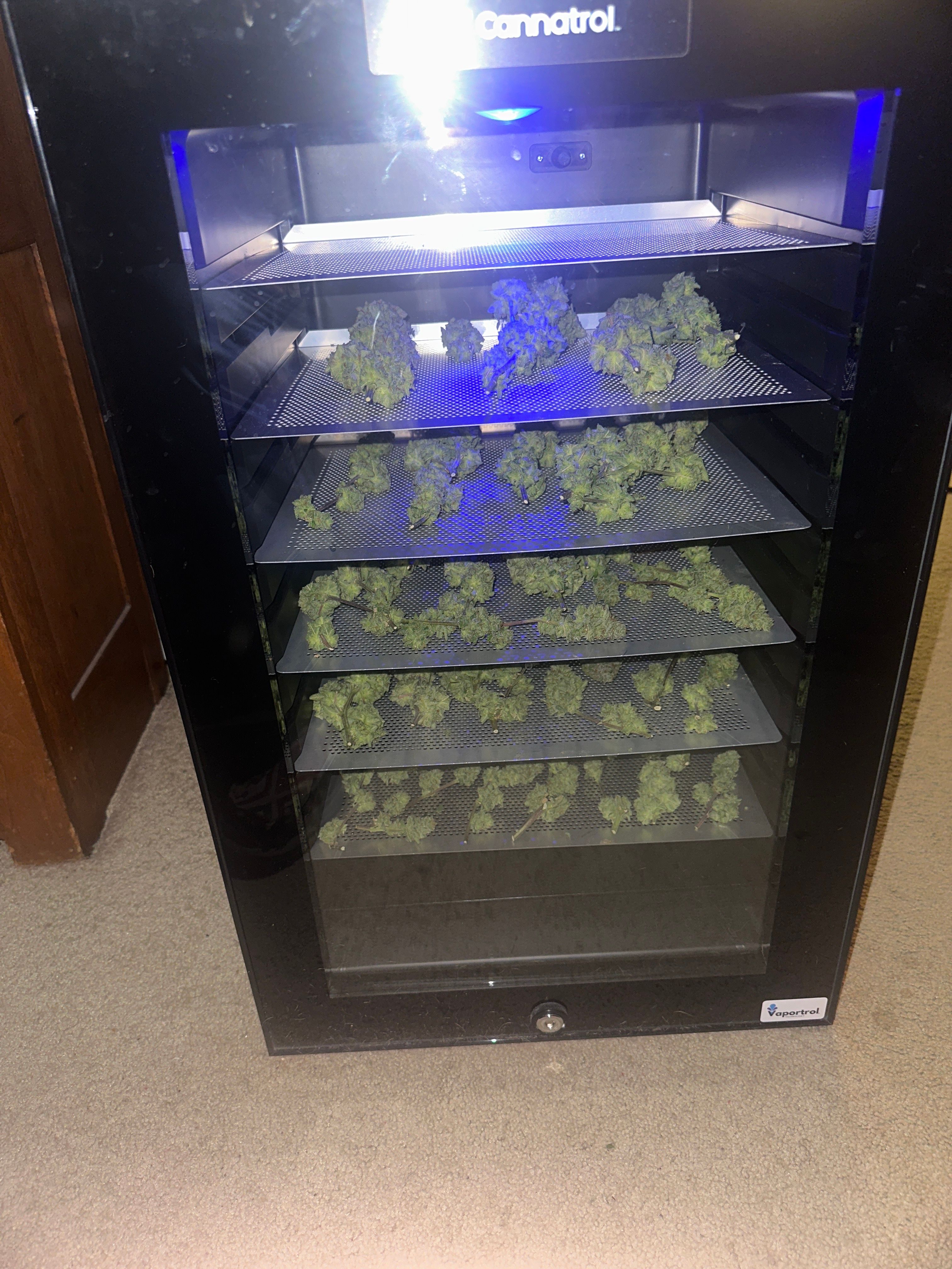 LW2 growlog photo 36