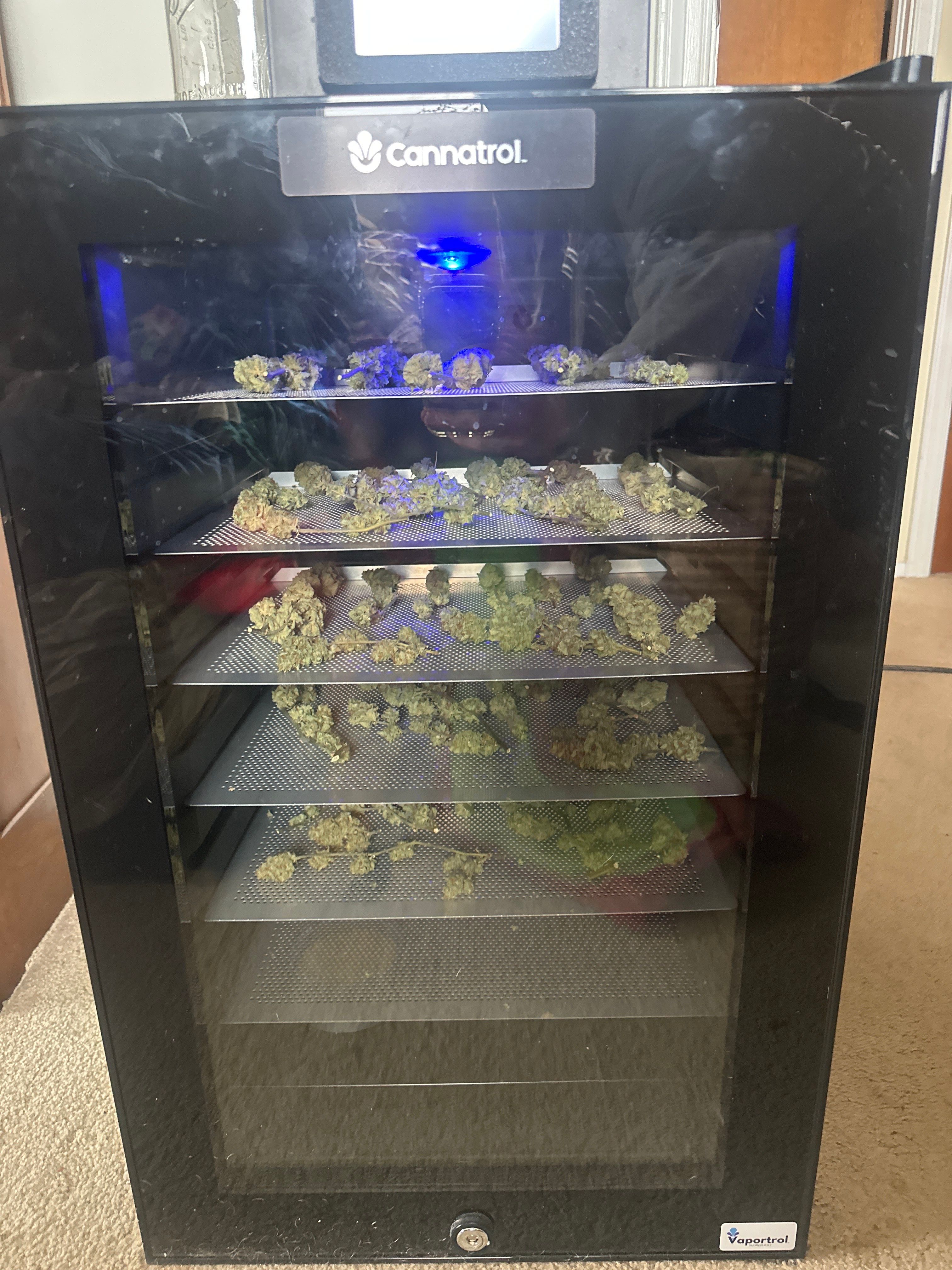 LW2 growlog photo 37