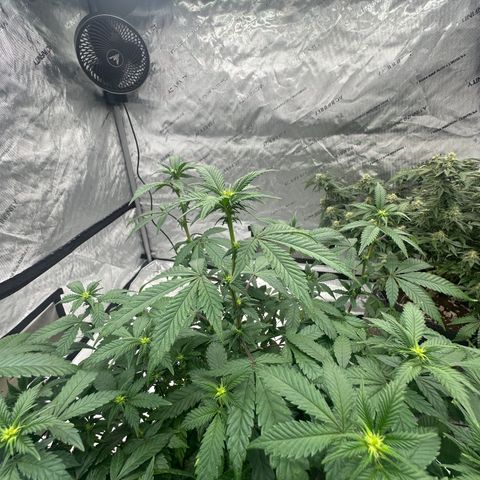 HR growlog timeline photo