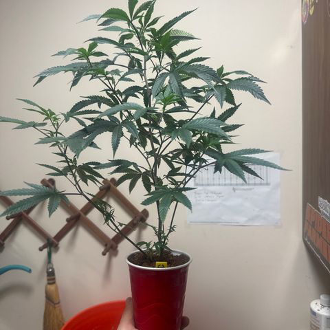 JD2 growlog timeline photo