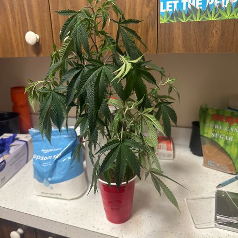 JD2 growlog timeline photo