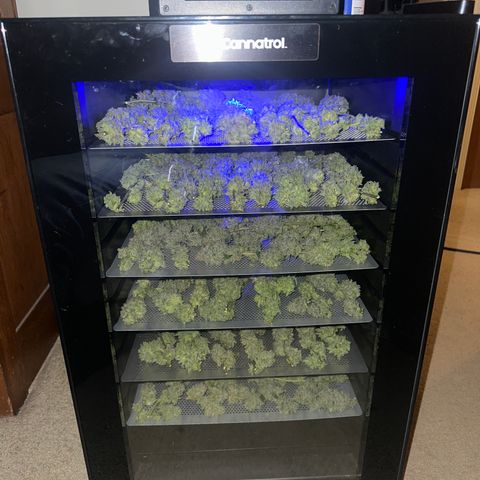 HR growlog timeline photo