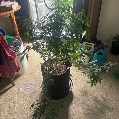 HR2 growlog timeline photo