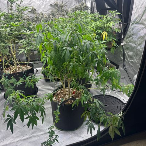 HR2 growlog timeline photo