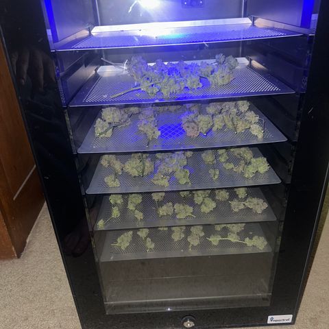 JD growlog timeline photo