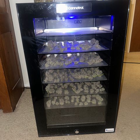 BB growlog timeline photo