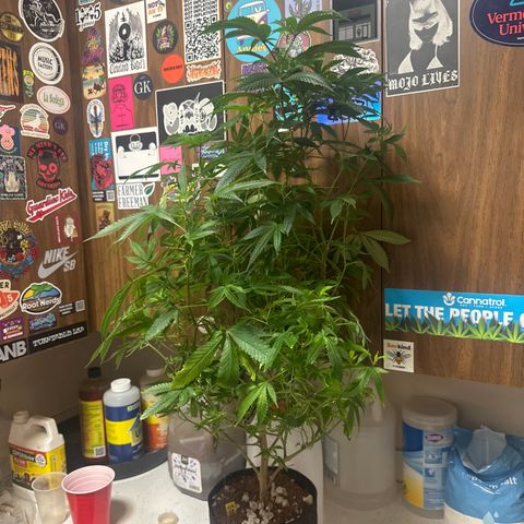 JD2 growlog timeline photo