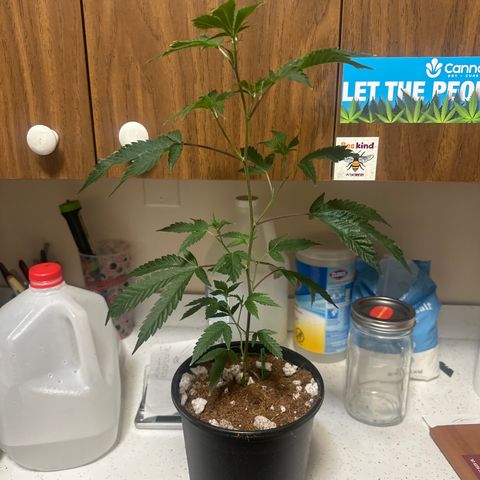 FG2 growlog timeline photo