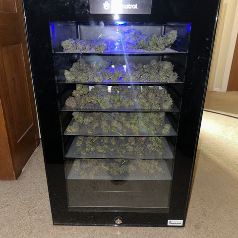 RMB2 growlog timeline photo