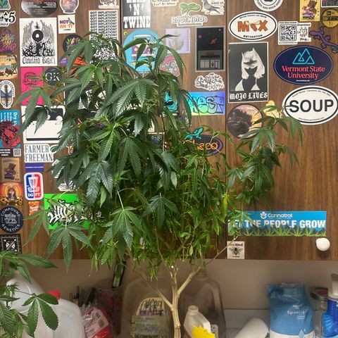JD2 growlog timeline photo