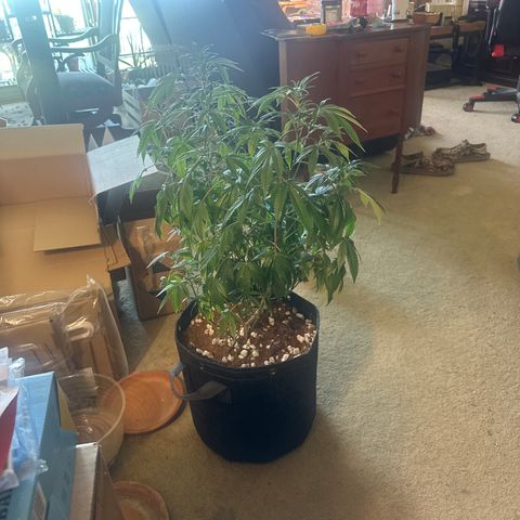 GC3 growlog timeline photo