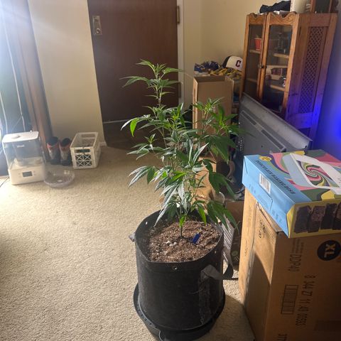 HS2 growlog timeline photo