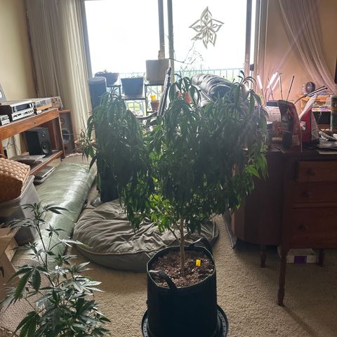 JD2 growlog timeline photo