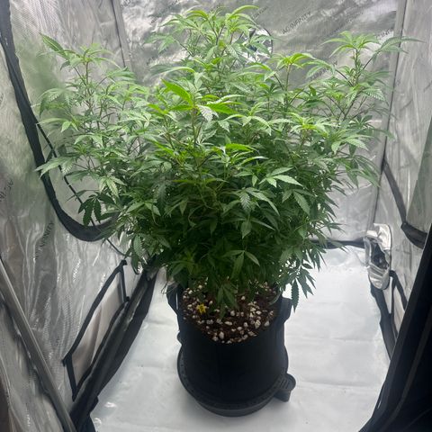 RMB3 growlog timeline photo