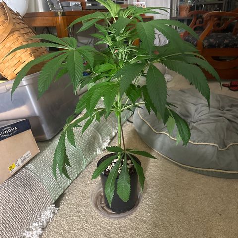 UM growlog timeline photo