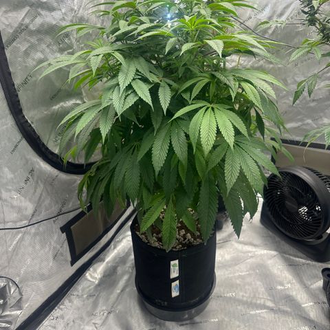 UM growlog timeline photo