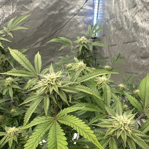 RMB3 growlog timeline photo